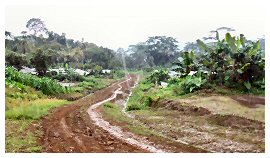 newly-graded-road-from-mpako-through-nlog-to-ngusi_260pxwb
